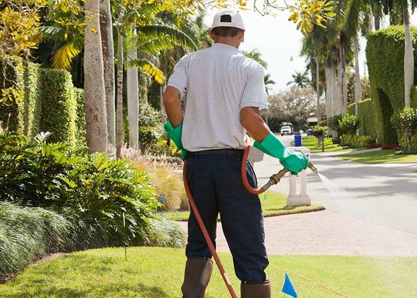About Greenock PA Pest Control Pros
